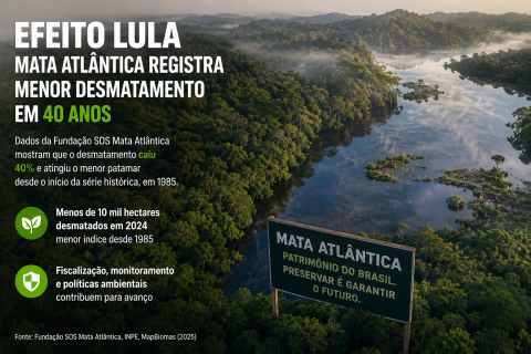 “Efeito Lula”? Mata Atlântica registra menor desmatamento em 40 anos e recoloca meio ambiente no centro do debate político